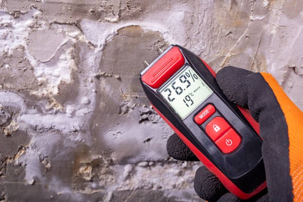 Best Home Mold Removal  in Hasson Heights, PA